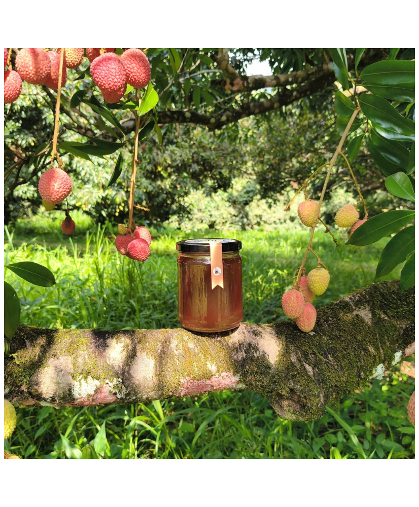 Miel de Lichi 100% natural