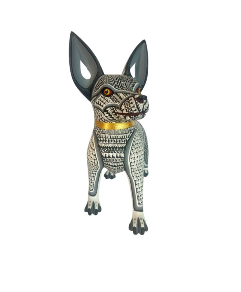 XOLOITZCUINTLE: GUARDÍAN DEL ALMA