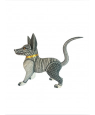 XOLOITZCUINTLE: GUARDÍAN DEL ALMA