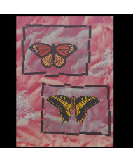 Pintura Mariposas
