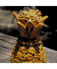 Piña Ancestral