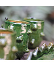 Nopal y Mezcal