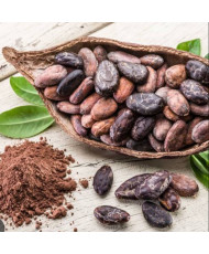 CACAO MEXICANO