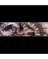Serpiente en la puerta